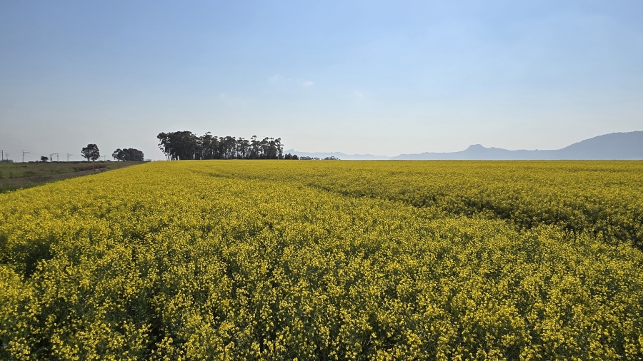 Commercial Property for Sale in Wellington Rural Western Cape